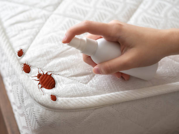Best Exterminator Services  in La Homa, TX